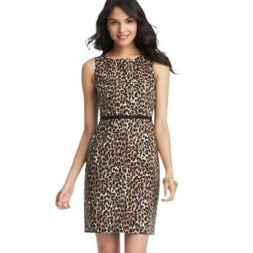 Loft Women’s sleeveless sheath style animal print dress - Sz 10P